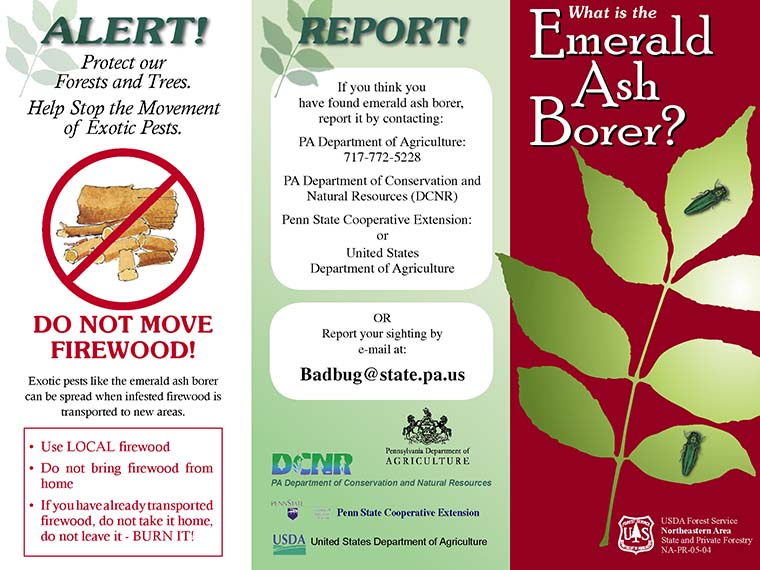 US Forest Service Fact Sheet on Emerald Ash Borer